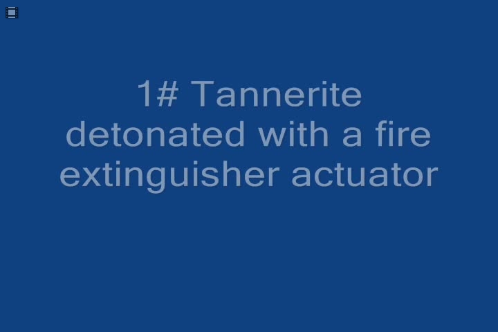 Tannerite - 1 Pound